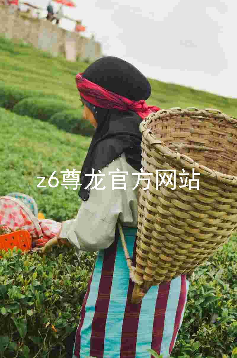 z6尊龙官方网站